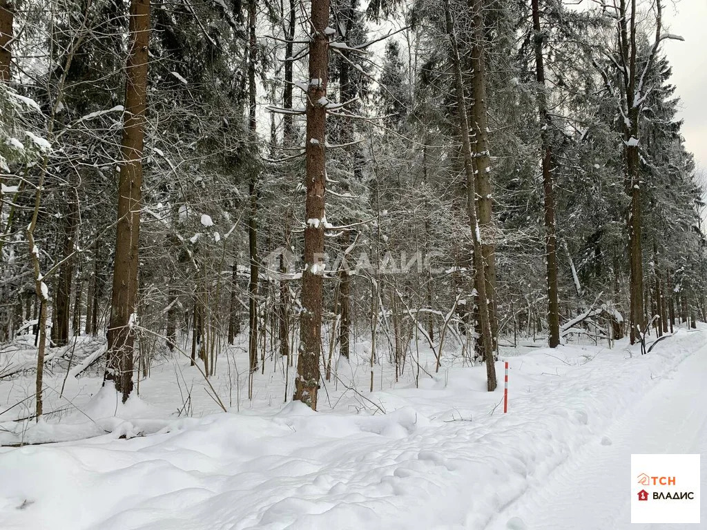 Продажа участка, Сазонки, Дмитровский район - Фото 2