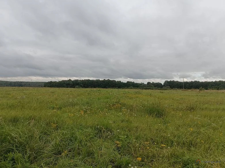 Продажа участка, Семеновское, Серпуховский район - Фото 3