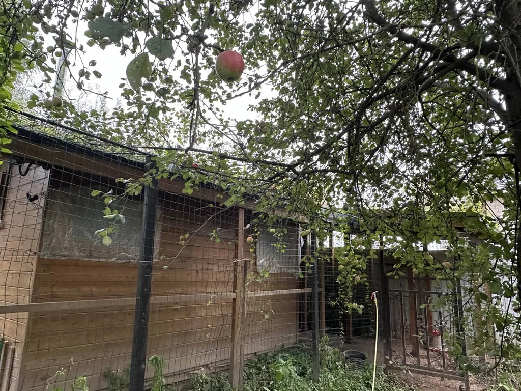 Продажа участка, Внуково, Дмитровский район - Фото 14