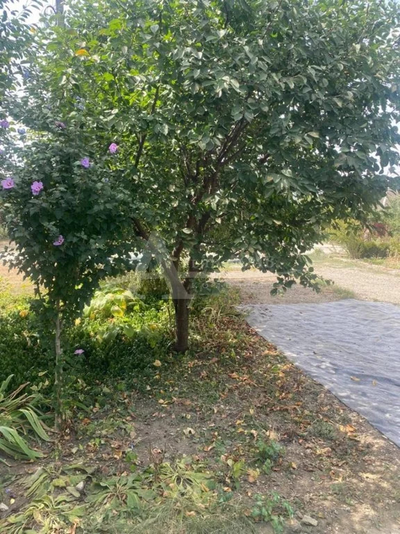 Продажа дома, Георгиевск, ул. Щербакова - Фото 18