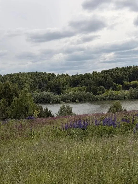 Купить участок 10.0 сот. Татарстан респ., Зеленодольский район, ... - Фото 12