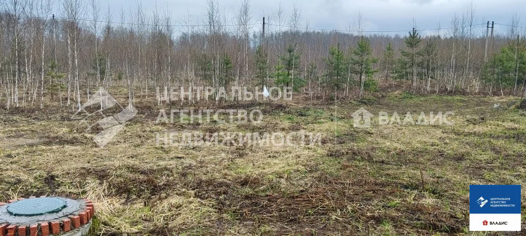 Продажа дома, Семкино, Рязанский район, Спасская улица - Фото 19