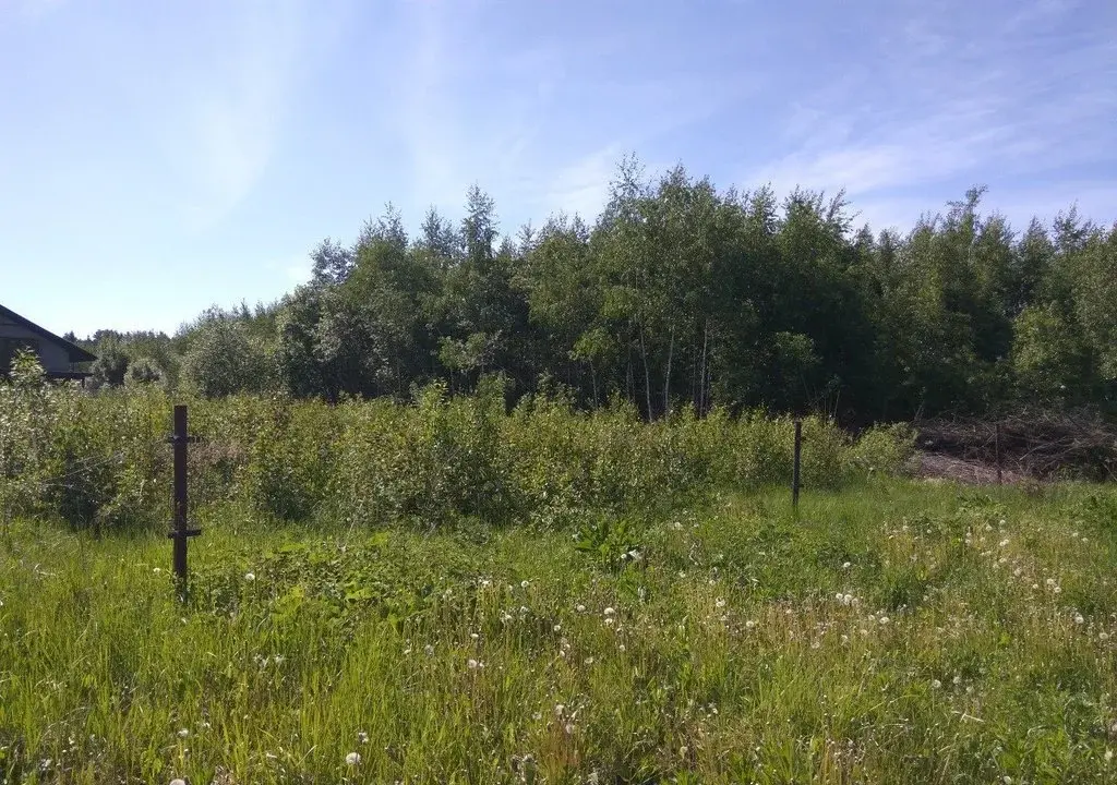 Новое мосино. Лесная опушка балахна. Коттеджный поселок идальго. Земля в хлыстово. Д тамышево рязанская область население.