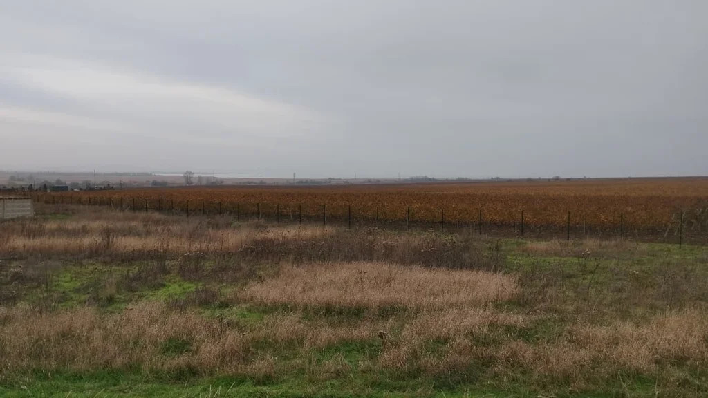 Продажа участка, Голубицкая, Темрюкский район, улица Брусничная - Фото 2