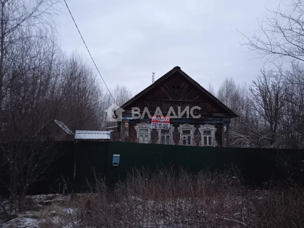 Поселок мезиновский гусь хрустального. Мезиновский.