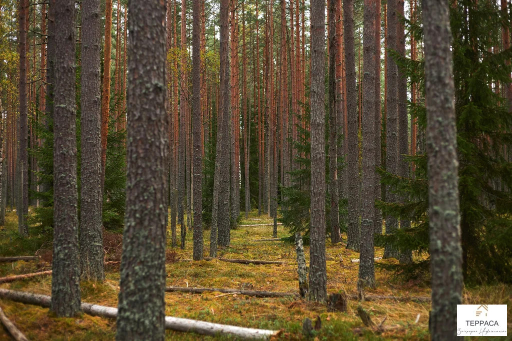 Продажа дома, Борисово, Бокситогорский район - Фото 17