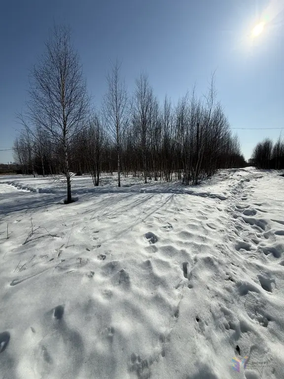 Продаю участок ясные зори - Фото 3