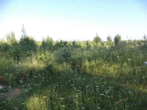 Продажа земельного участка, Ижевск, ул. Автономная - Фото 0