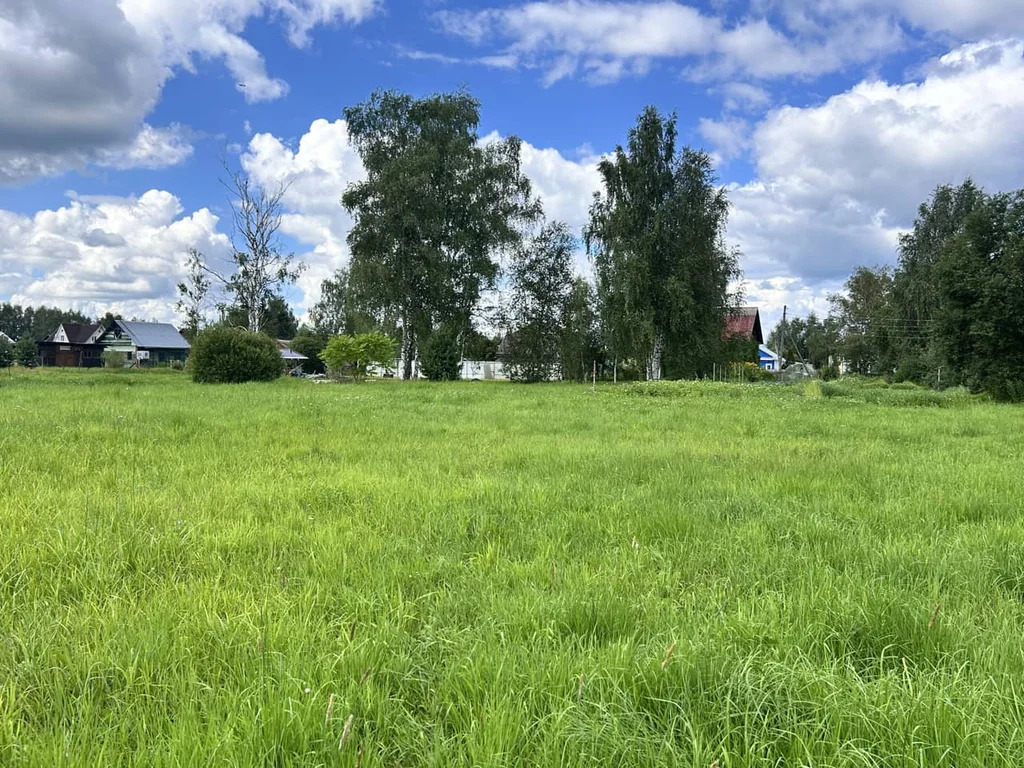 Продажа участка, Власково, Дмитровский район - Фото 8