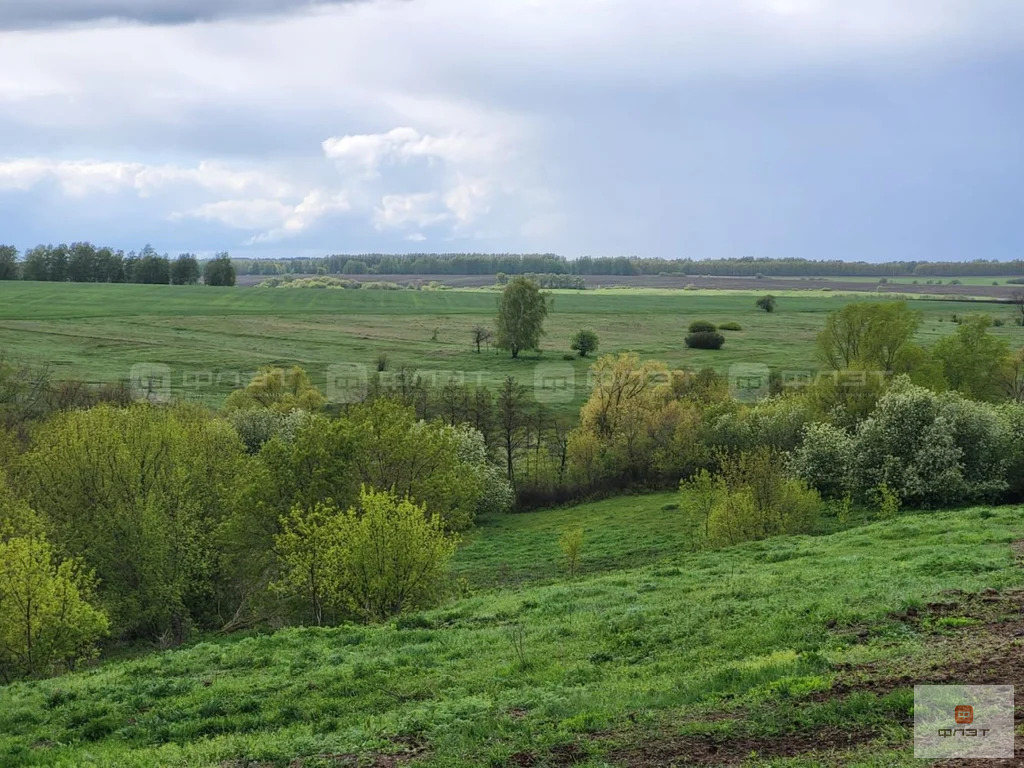 Продажа участка, Удельное Нечасово, Тетюшский район, ул. Комарова - Фото 4