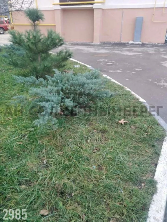 Продажа офиса, Архипо-Осиповка, ул. Жуковского - Фото 2