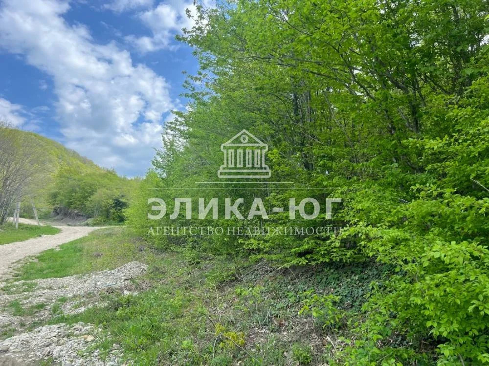 Продажа участка, Бжид, Туапсинский район, мкр. Юг - Фото 3