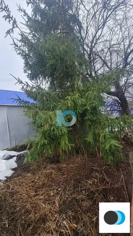 Продажа дома, Урунда, Иглинский район, ул. Ручейная - Фото 9