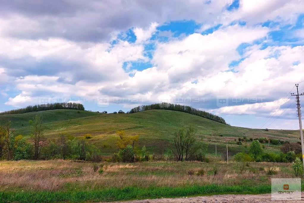 Продажа участка, Сеитово, Верхнеуслонский район, ул. Центральная - Фото 13
