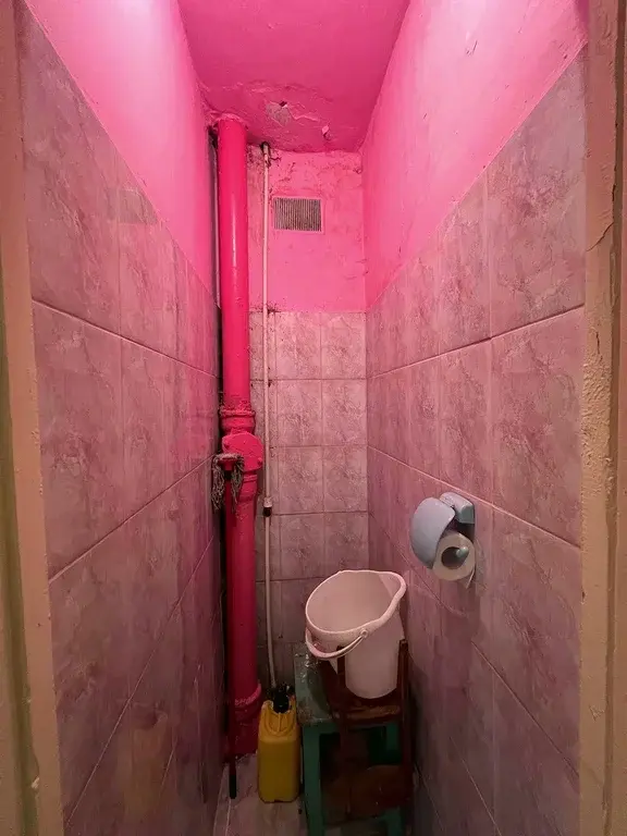 2-я квартира в п. Рязановский, ул. Чехова, дом 15 - Фото 6