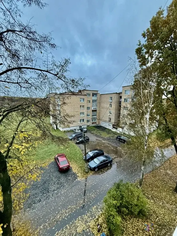 Продаю двухкомнатную  квартиру д. Дубнево, улица Новые дома, дом 6. - Фото 9