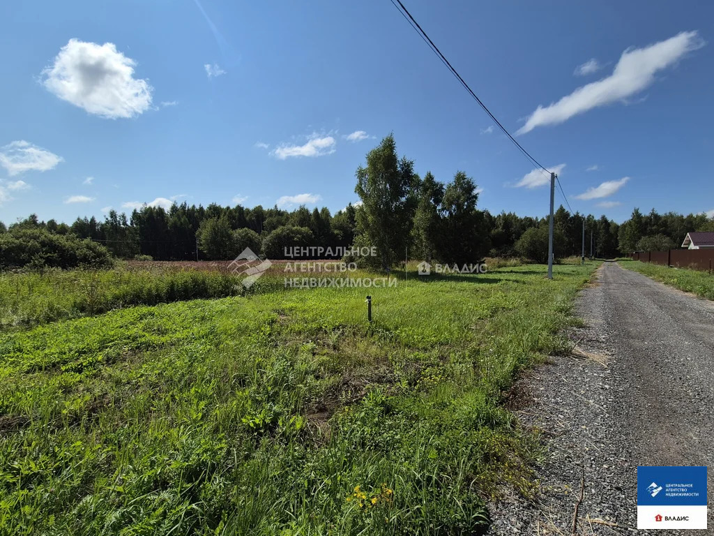 Продажа участка, Гнетово, Рязанский район, Ромашковая улица - Фото 11