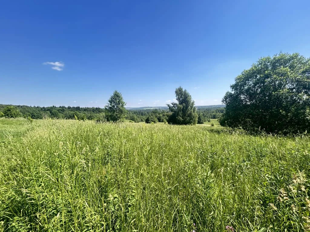 Продажа участка, Горбово, Дмитровский район - Фото 1