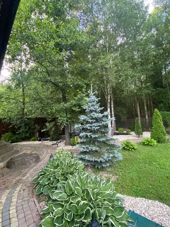 Дом 465 м  в Лесном Массиве маленькая Барвиха - Фото 17