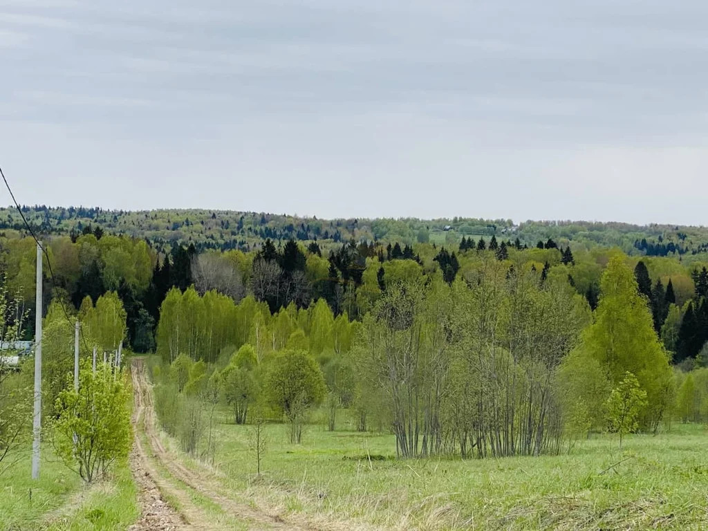 Продажа участка, Дмитровский район - Фото 6