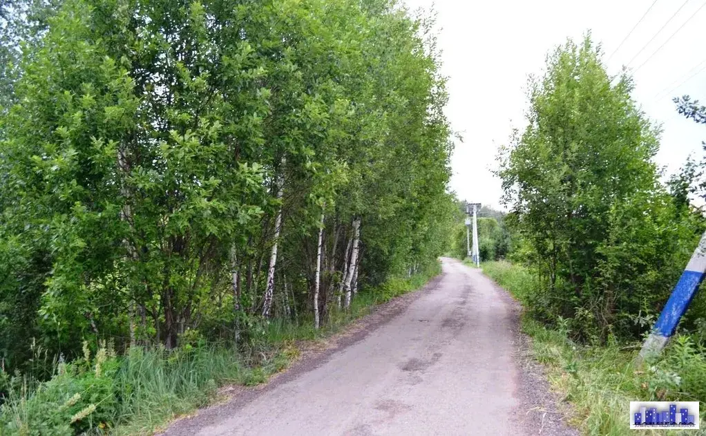 Деревня повадино солнечногорский район фото