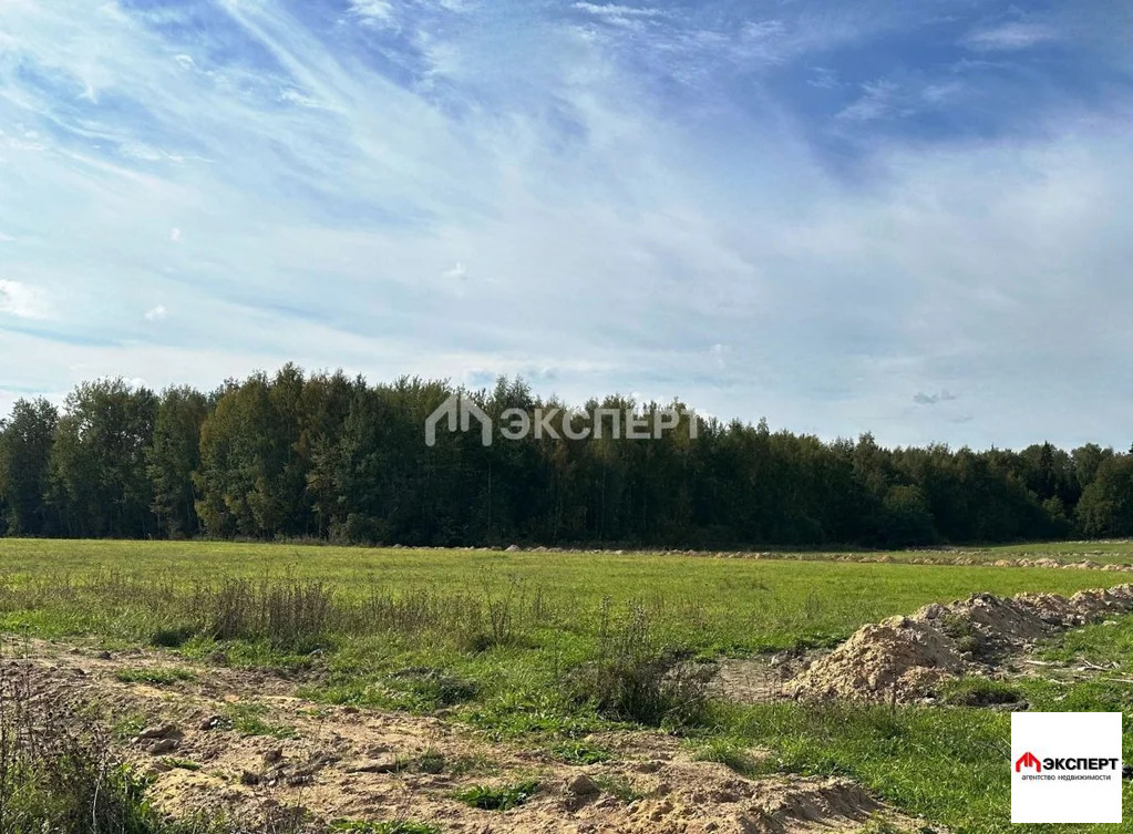 Земельный участок - Фото 0