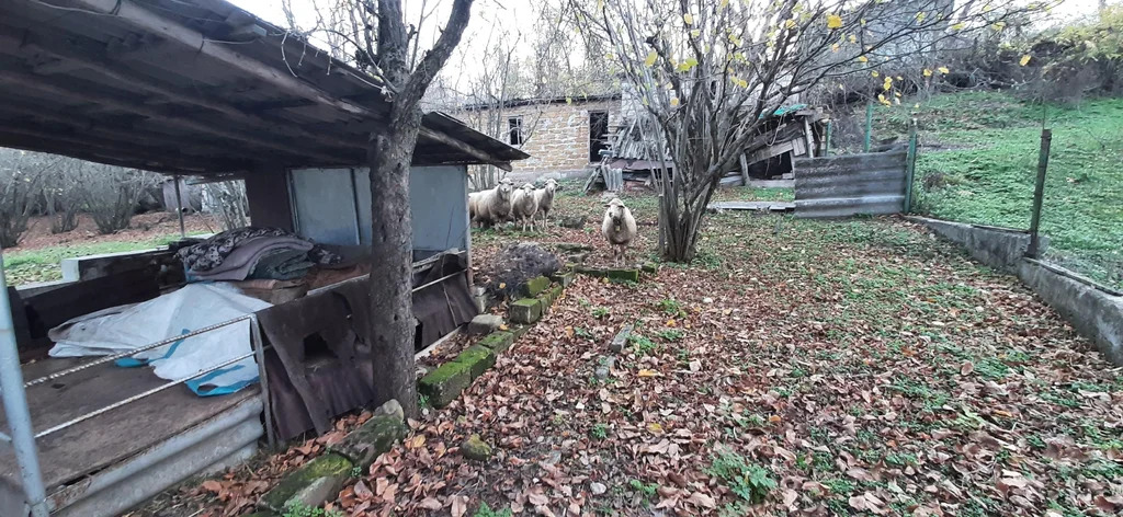 Продажа участка, Высокое, Бахчисарайский район, ул. Куйбышевская - Фото 4