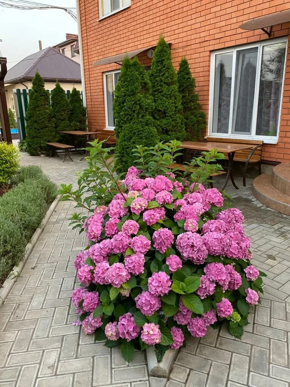 Продажа готового бизнеса, Темрюкский район, улица Песочная - Фото 15