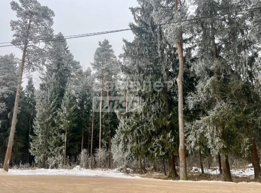 Продажа квартиры, Талдом, Талдомский район, ул. Победы - Фото 5