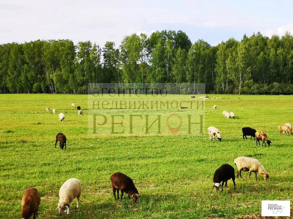 Продажа участка, Коростелево, Боровский район - Фото 12