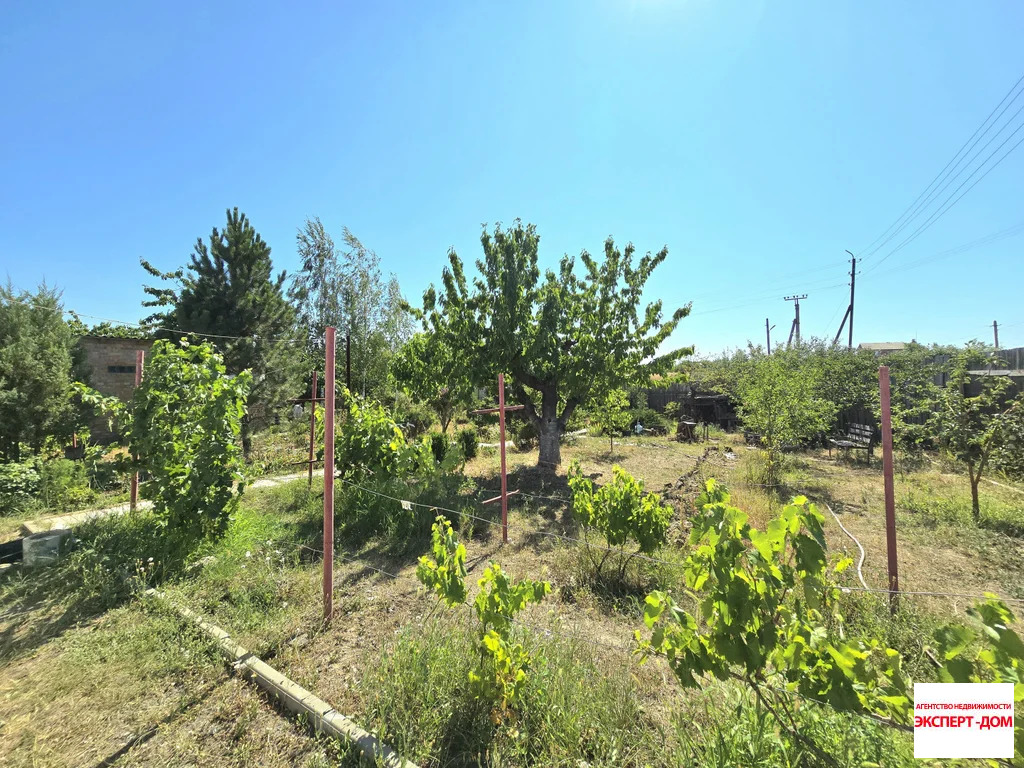 Продажа дома, Боркин, Неклиновский район - Фото 13