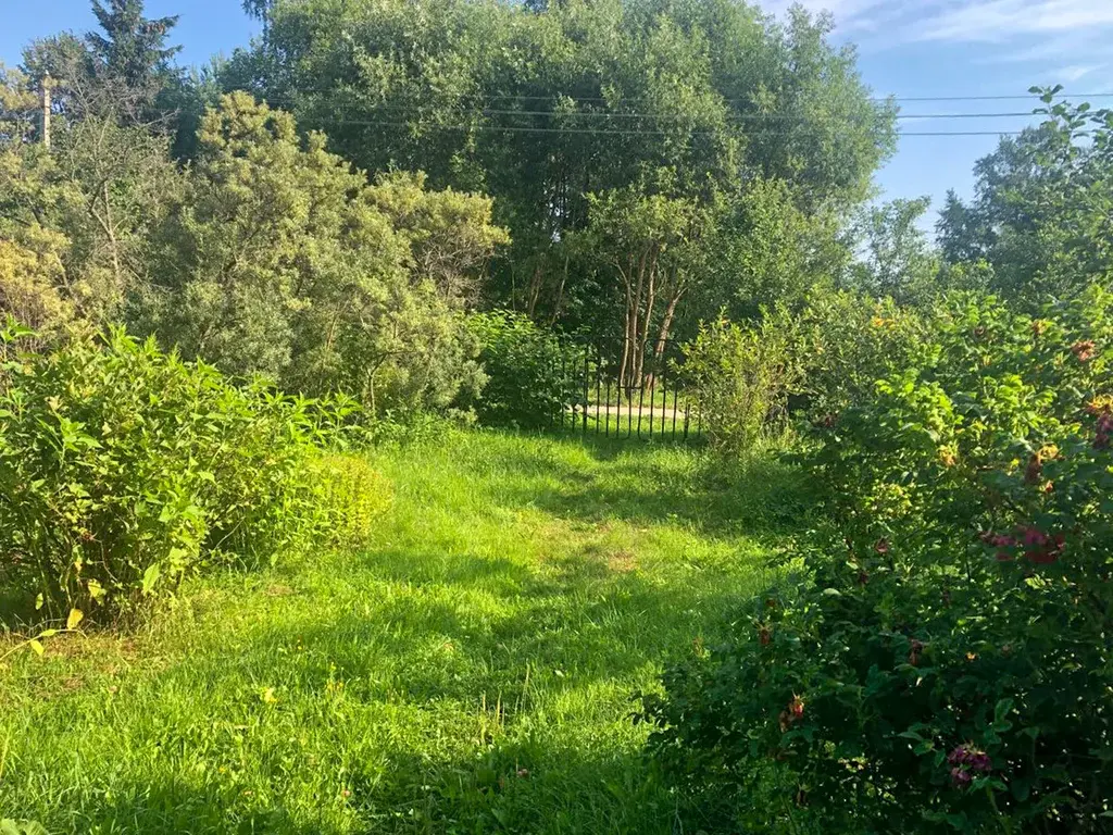 Купить дом в окружении леса можно уже сейчас! - Фото 7