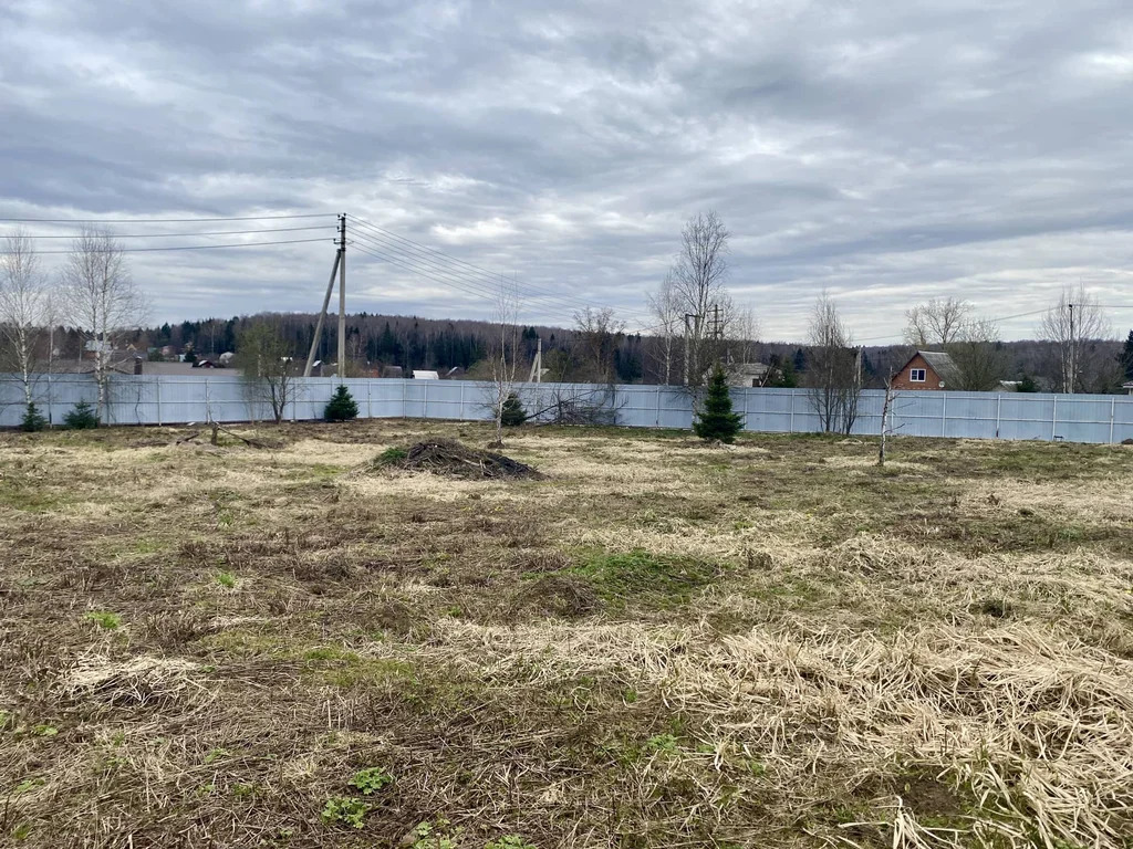 Продажа участка, Базарово, Дмитровский район - Фото 11