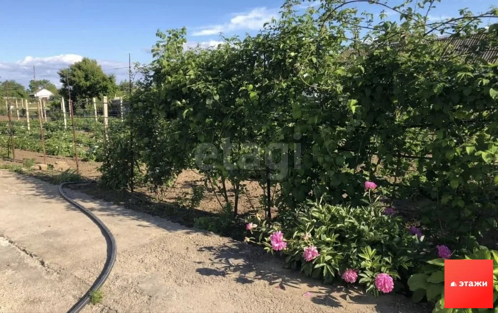 Продажа дома, Вишневка, Красноперекопский район, ул. Маленко - Фото 11