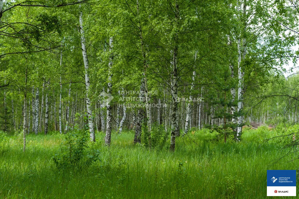 Продажа участка, Рязанский район - Фото 4