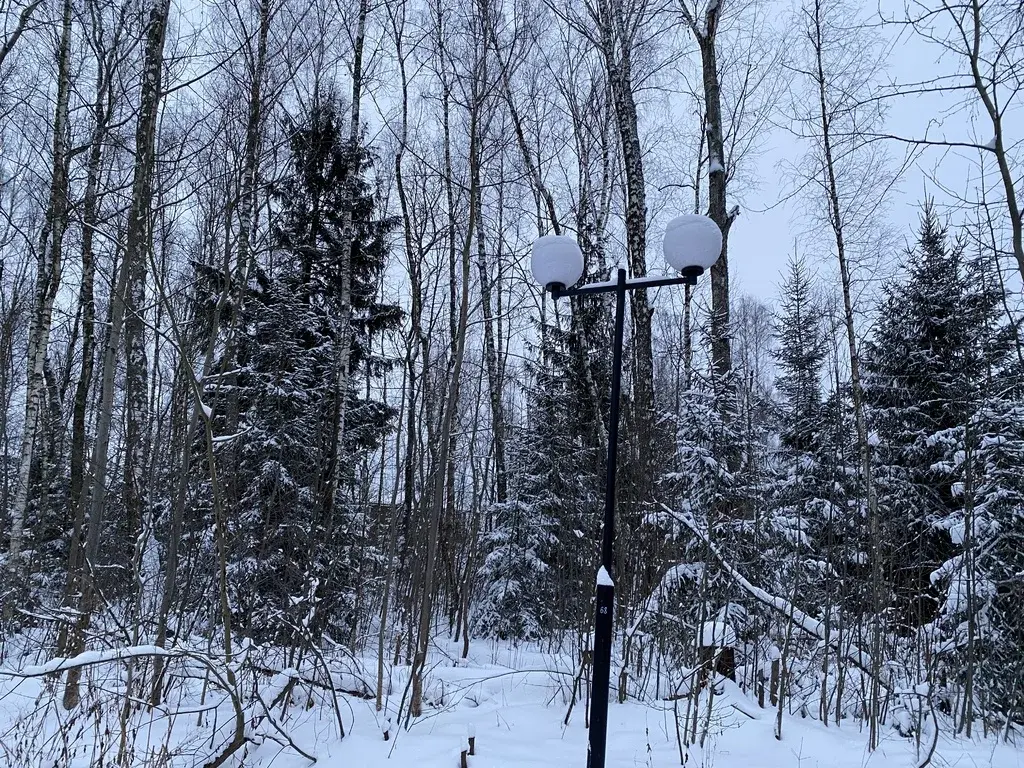 Лесной Участок, 25 соток, кп Финская Деревня, г. Чехов, свет оплачен - Фото 7