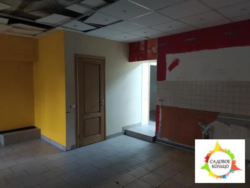 Помещение свободного назначения на цокольном многоквартирного жилого д - Фото 39