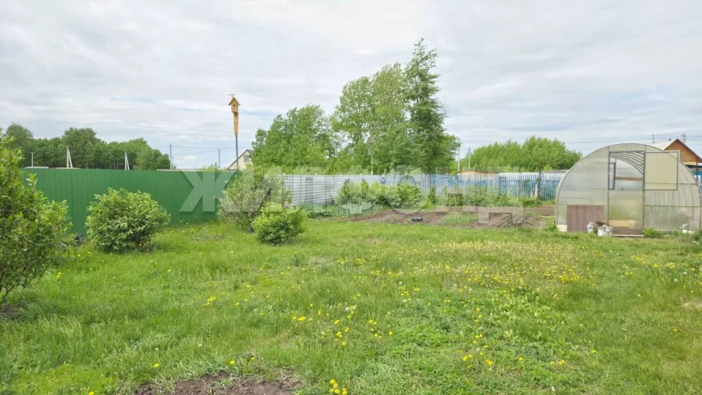 Продажа дома, Новопичугово, Ордынский район, Полевая - Фото 22