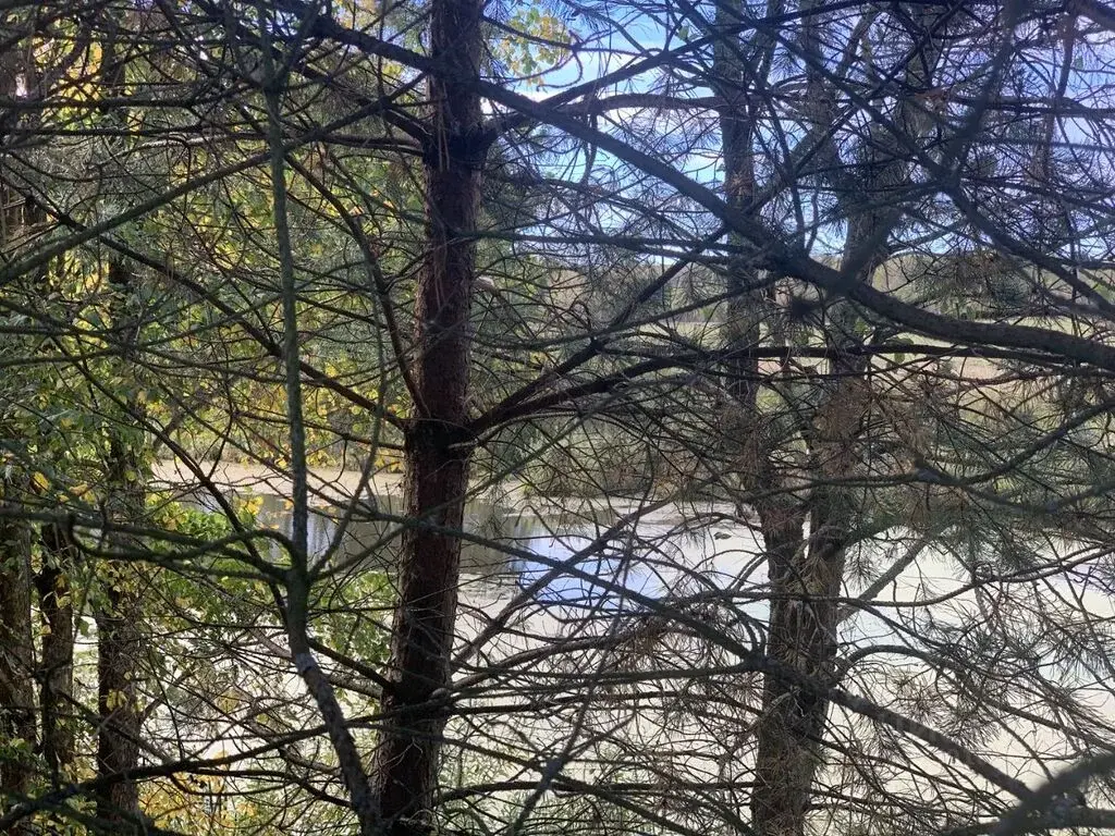 Купить дом 114.0м Тульская область, Алексин городской округ, Большое ... - Фото 14