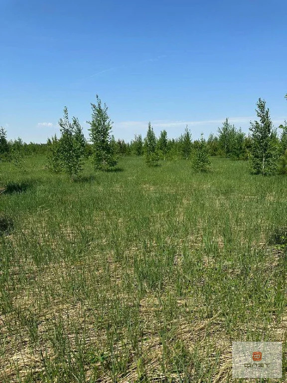 Продажа участка, Яшь Кеч, Высокогорский район - Фото 1