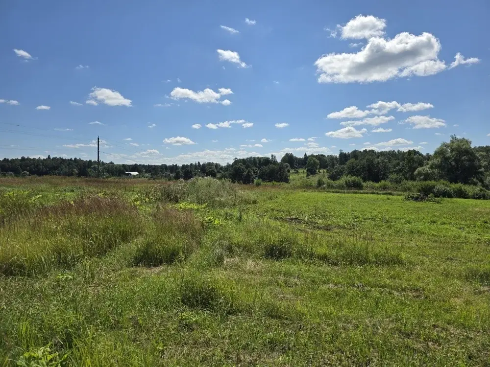 Продаю уч. 30 сот. с Семеновское - Фото 10