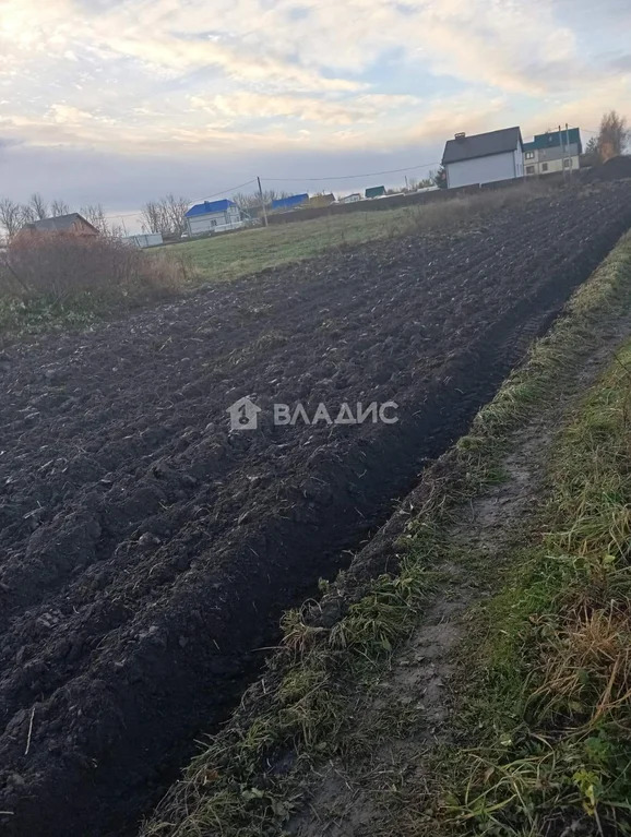 Суздальский район, село Павловское, Новая улица,  земля на продажу - Фото 1