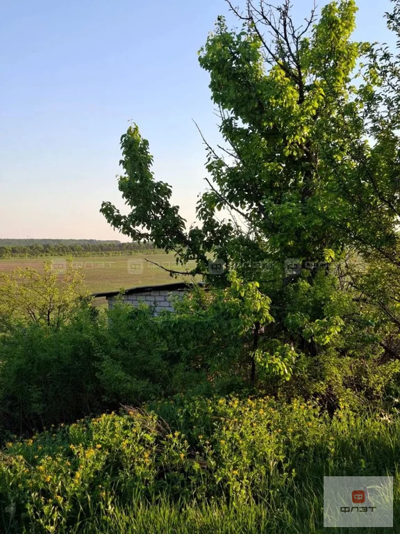 Продажа дома, Верхнеуслонский район, Земельный участок - Фото 6
