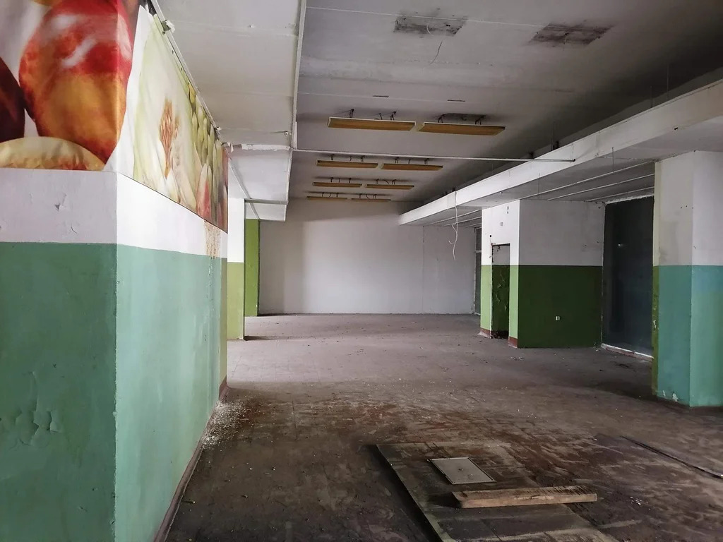 Торговое помещение 1386.5 м2 - Фото 8