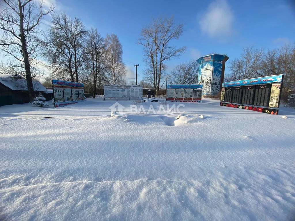 Селивановский район, посёлок Новый Быт, Песочная улица, д.31, ... - Фото 38