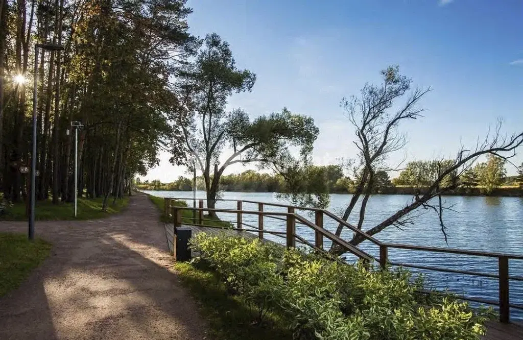 Участок на высоком берегу Москва - реки в Барвихе, Рублевка 5 км. - Фото 16