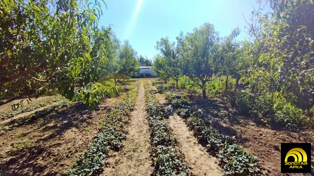 Продажа участка, Вышестеблиевская, Темрюкский район - Фото 4