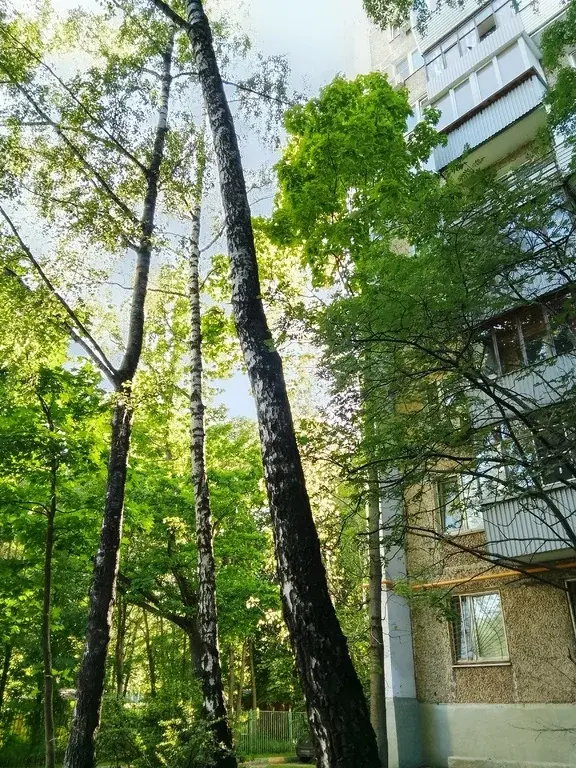 Продажа двухкомнатной квартиры. Метро Беляево - Фото 20