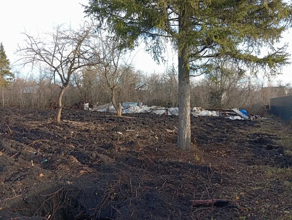 Участок 7,3 сот. (СНТ, ДНП) - Фото 16