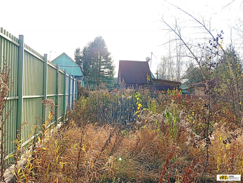 Продажа участка, Богородский г. о., СНТ Электрон - Фото 10
